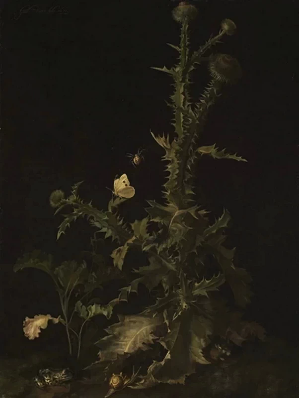 Natura morta con cardo e farfalla - Staatliche Kunsthalle Karlsruhe